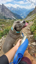 Cargar imagen en el visor de la galería, Elite Bottle™ | Hidratación inteligente para mascotas
